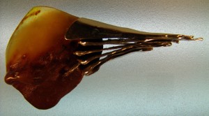 12I2005 012