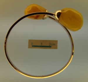 25II2009 060