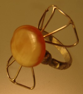 25II2009 225